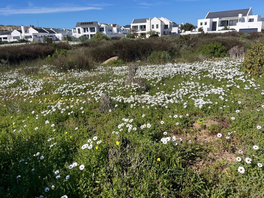 3 Bedroom Property for Sale in Blue Lagoon Western Cape